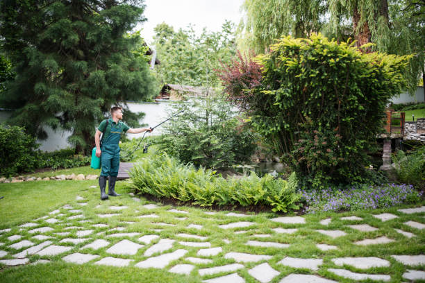 Best Affordable Pest Control Services  in Levittown, PA