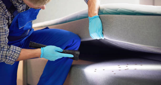 Best Termite Control Services  in Levittown, PA