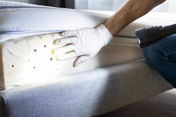 Best Local Pest Control Services  in Levittown, PA