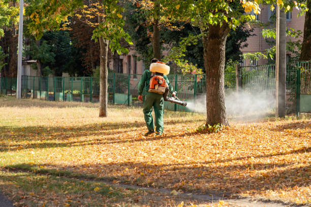 Best Flea Control Services  in Levittown, PA