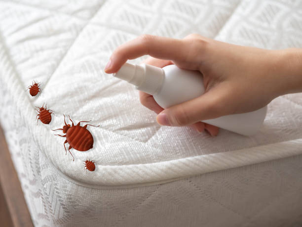 Professional Pest Control in Levittown, PA