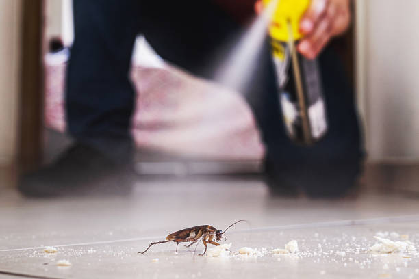 Best Wildlife Control Services  in Levittown, PA