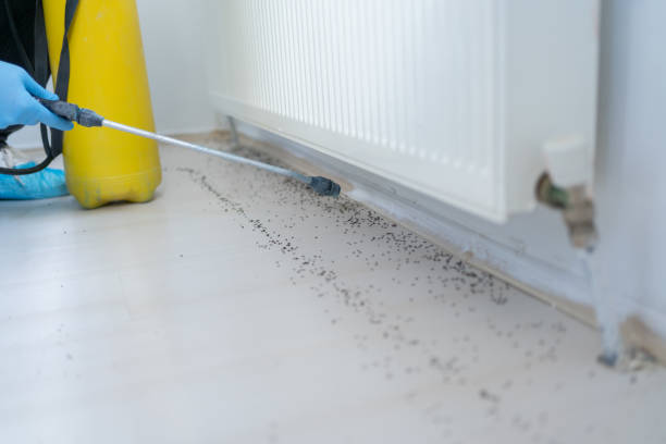 Best Rat Extermination Near Me  in Levittown, PA