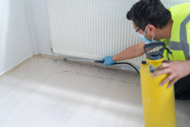 Best Bed Bug Extermination  in Levittown, PA