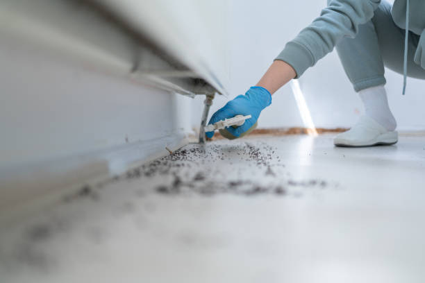 Best Ant Control Services  in Levittown, PA